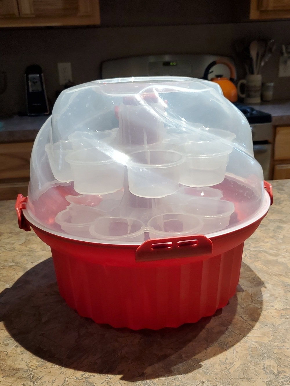 Cupcake Carrier